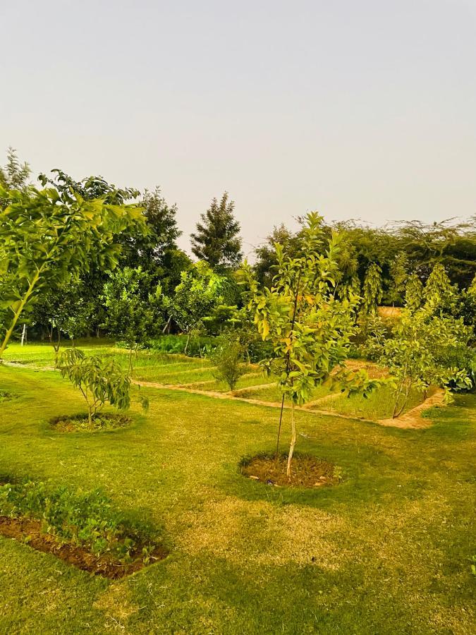 Vila Anantam Aravali Gurgáon Exteriér fotografie